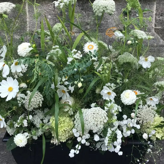 Floral Meadow Arrangements | July