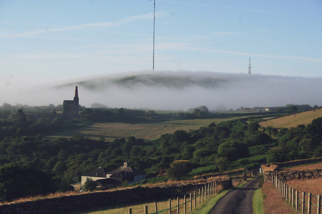 Cornwall flower farm soil preparation with mustard cover crop