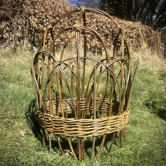 Willow Peony Plant Supports  | April 15th