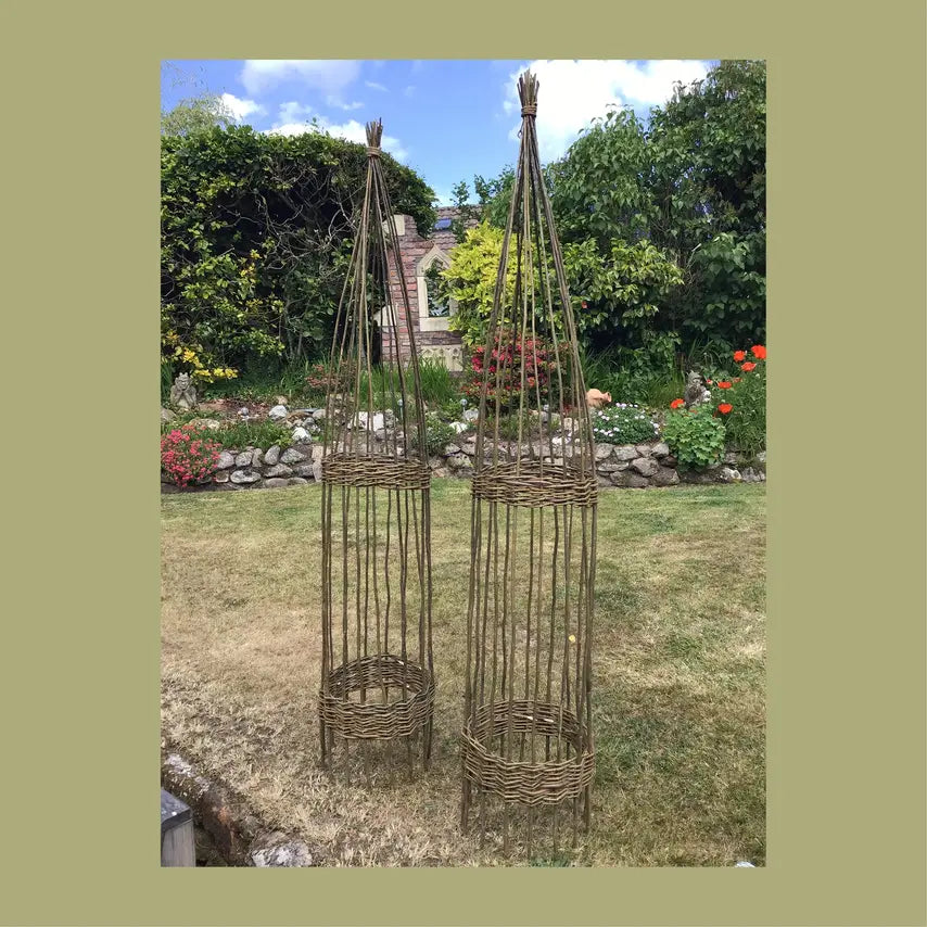 Two finished willow obelisks