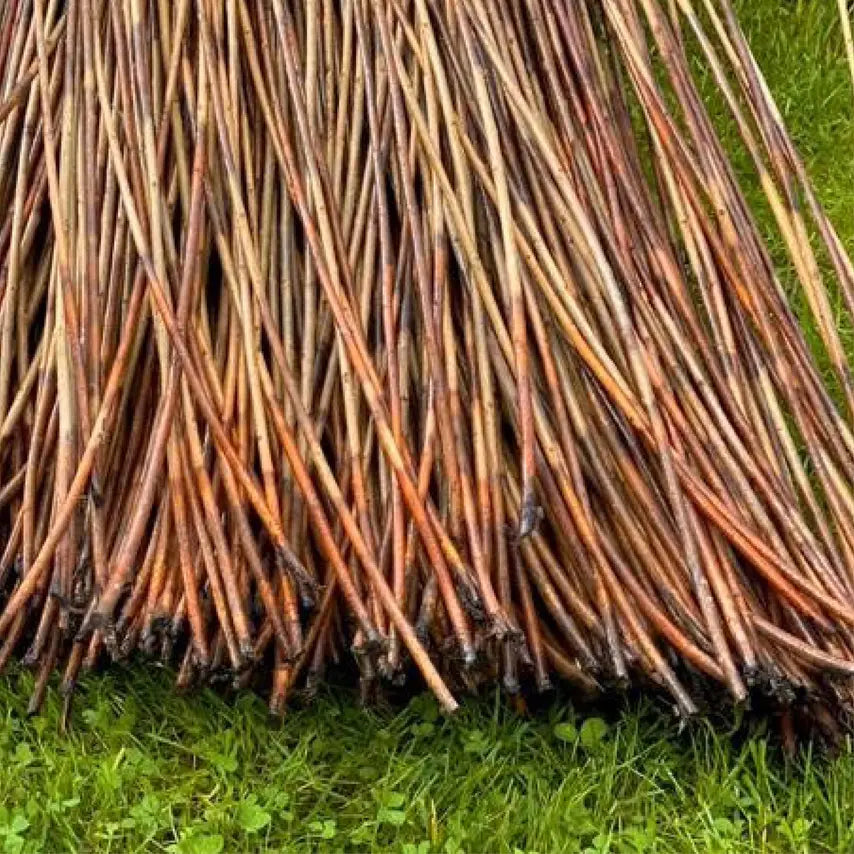 Detail of dried willow